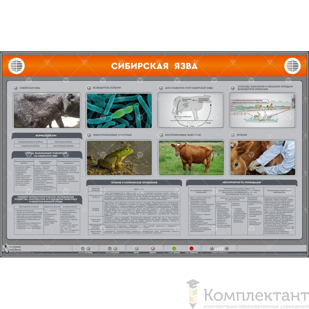 Электрифицированный стенд “Сибирская язва”
