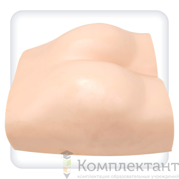 Фантом ягодичной области для внутримышечных инъекций