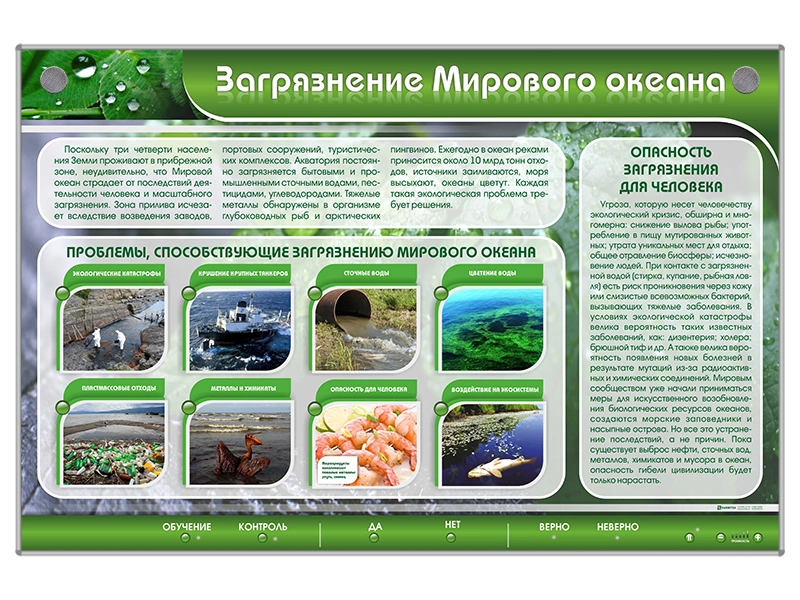 Интерактивный стенд "Загрязнение мирового океана"